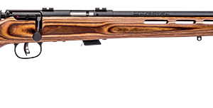 SAVAGE ARMS MARK II BOLT 22LR BL/LAM TH  #