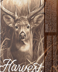 BARNES HARVEST 308 WIN 165GR - TIPPED GAMEKING 20RD