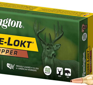 REMINGTON 270 WIN 130GR COPPER - CORE-LOKT HP 20RD 10BX/CS