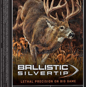 WINCHESTER SUPREME 300 WIN MAG - 180GR SILVERTIP 20RD 10BX/CS