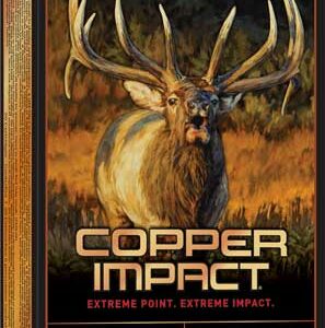 WINCHESTER COPPER IMPACT 300 - WIN MAG 180GR 20RD 10BX/CS