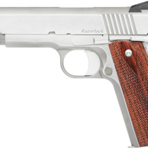 CZ DAN WESSON RAZORBACK 10MM - 5" 8-SHOT BRUSHED STAINLESS