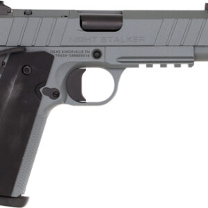 TISAS 1911 B9BA NSSF-C 9MM - 4.25" BBL 10RD W/CASE GREY