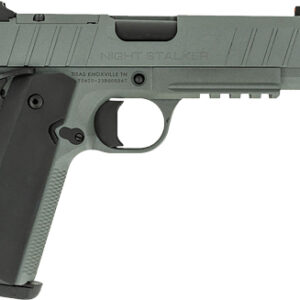 TISAS 1911 B45BA NSSF-C 45ACP - 4.25" BBL 8RD W/ CASE GREY