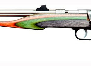 CHIPMUNK PISTOL HUNTER 22WMR - STAINLESS/CAMO LAMNT THREADED