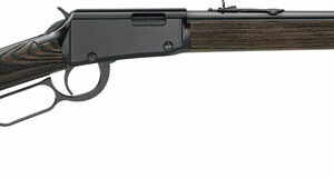 HENRY GARDEN GUN 22LR - 18.5" SMOOTH BORE BLUED WOOD