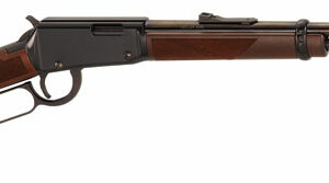 HENRY VARMINT EXPRESS 17HMR - 19" BLUED WALNUT