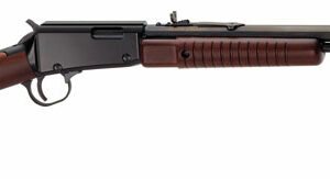 HENRY PUMP ACTION 22S/L/LR - 20" OCTAGON BLUED WALNUT