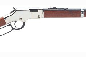 HENRY GOLDEN BOY SILVER 17HMR - 20" OCTAGON WALNUT