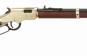 HENRY GOLDENBOY 17HMR - 20" OCTAGON WALNUT