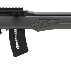 ROSSI RS22 22MAG BLK/GRAY 21" 10+1