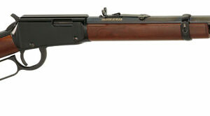 HENRY FRONTIER 22WMR - 20" OCTAGON BLUED WALNUT