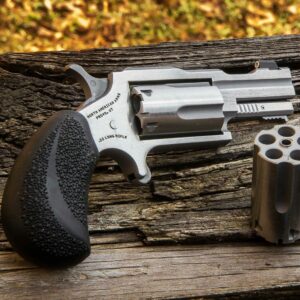 NORTH AMERICAN ARMS 22M/22LR BUGOUT II SS XS SGHT#