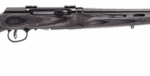 SAVAGE ARMS A22 22LR BL/LAM 22" T'HOLE STK