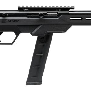 SAVAGE ARMS 64 PRECISION 22LR BL/BK 20+1