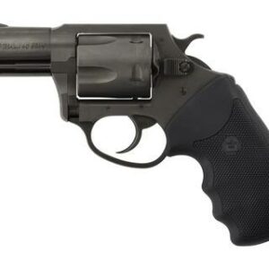 CHARTER ARMS CHARTER PITBULL 40SW NIT 2" FS