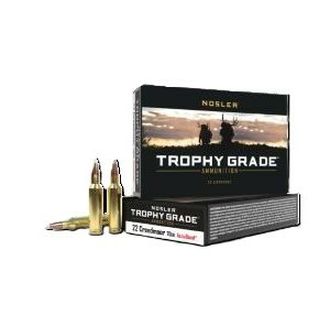 NOSLER TROPHY GRADE 22CM - 70GR ACCU TIP 20RD 10BX/CS