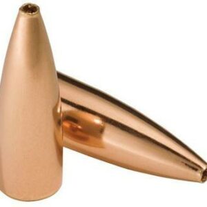 Speer TNT Rifle Bullets .204 cal .204" 39 gr TNTHP 100/ct