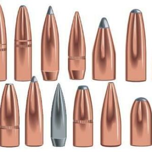 Speer Grand Slam Rifle Bullets .30 cal .308" 180 gr GSSP 50/ct