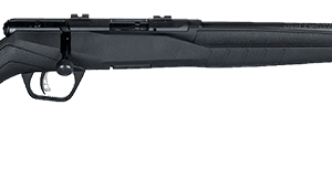 SAVAGE ARMS B17 COMPACT 17HMR BL/SYN 18"