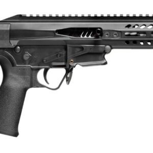 POF USA PSG .22LR PISTOL 8" BLK BRACE