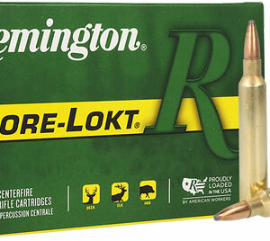 REMINGTON 300 RUM 180GR - CORE-LOKT PSP 20RD 10BX/CS