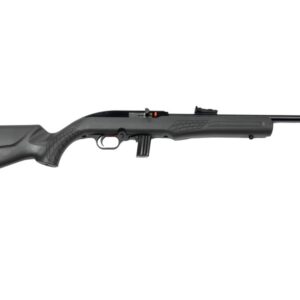 ROSSI RS22 22LR BLK/GRAY 18" 10+1  #