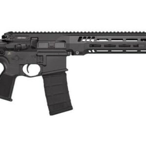 SIG SAUER SIG516 G3 5.56MM BLK 16" 30+1