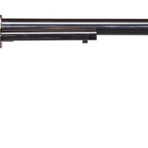 HERITAGE MANUFACTURING 22LR/22M WYATT EARP CCH 12"  #